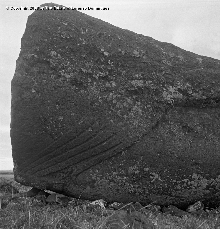CDM_Mano_02.jpg - Easter Island. 1960. Hand of a moai on the transport road.